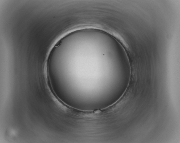 X0000112431516200908141420