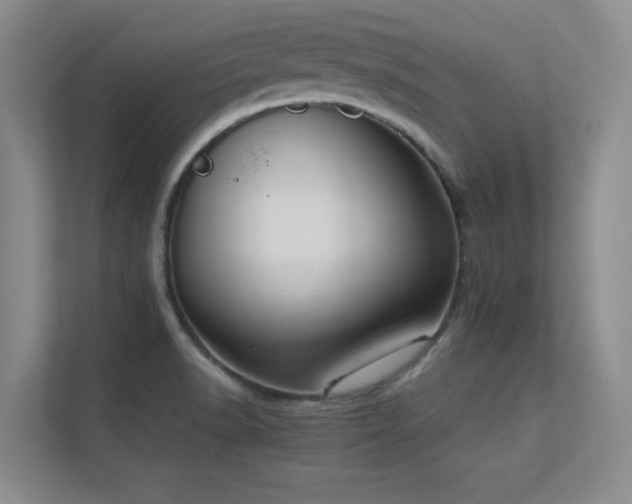 X0000112431518200908141421