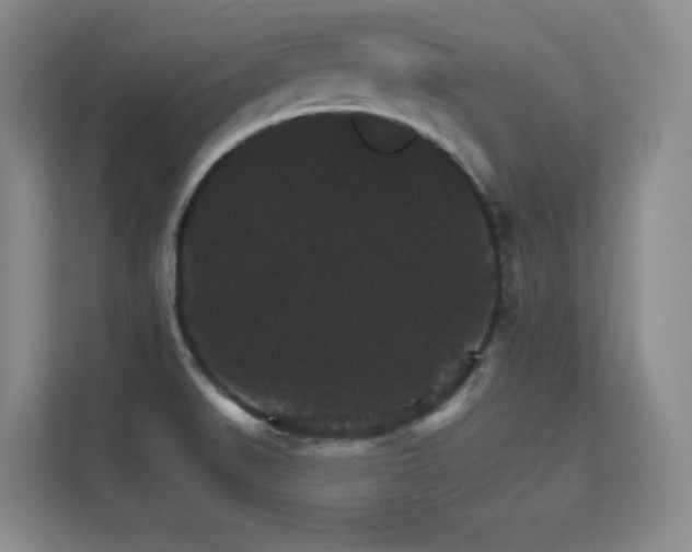 X0000112431519200908141421