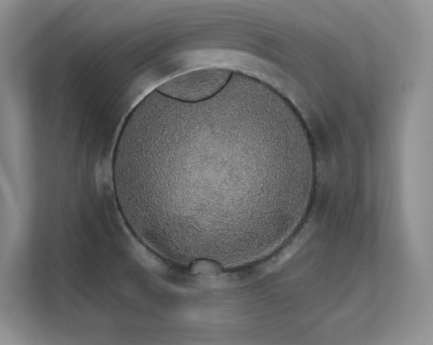 X0000112431521200908141421