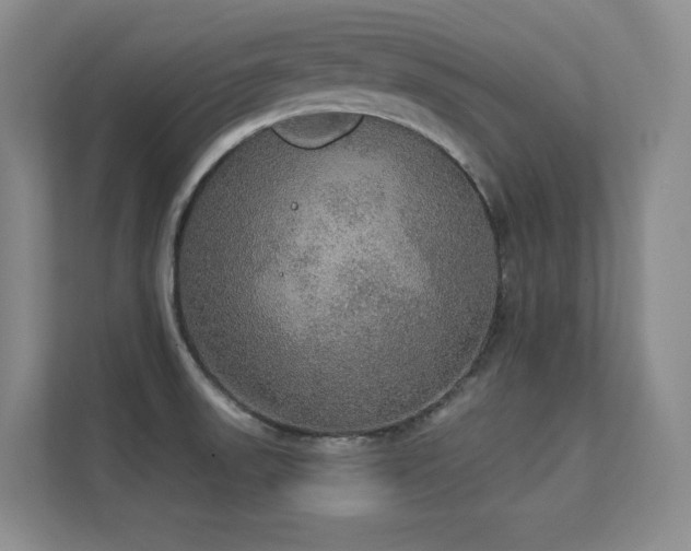 X0000112431523200908141421