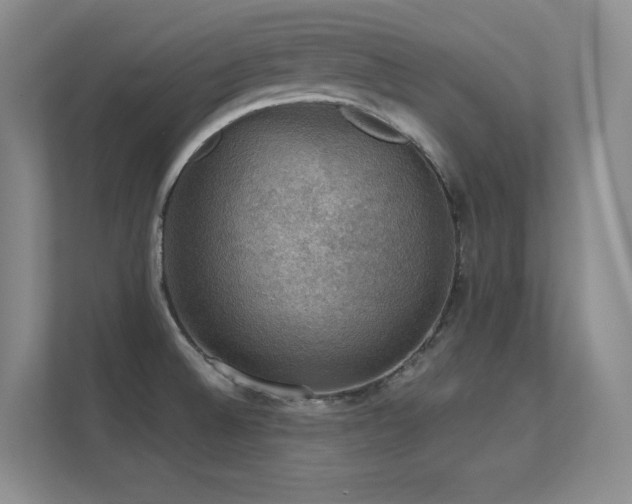 X0000112431524200908141421