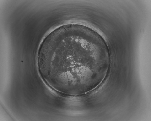 X0000112431525200908141421