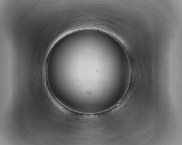 X0000112431526200908141421