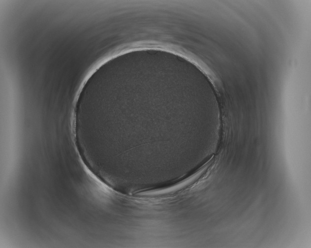 X0000112431527200908141421