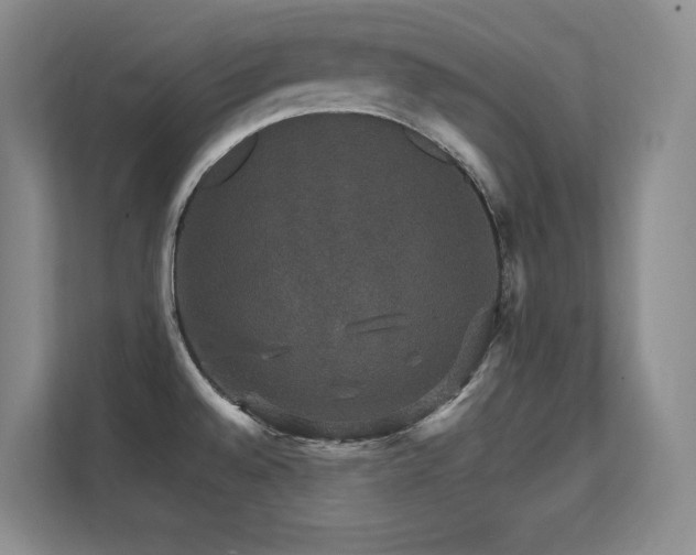 X0000112431528200908141421