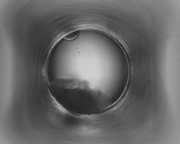 X0000112431529200908141421