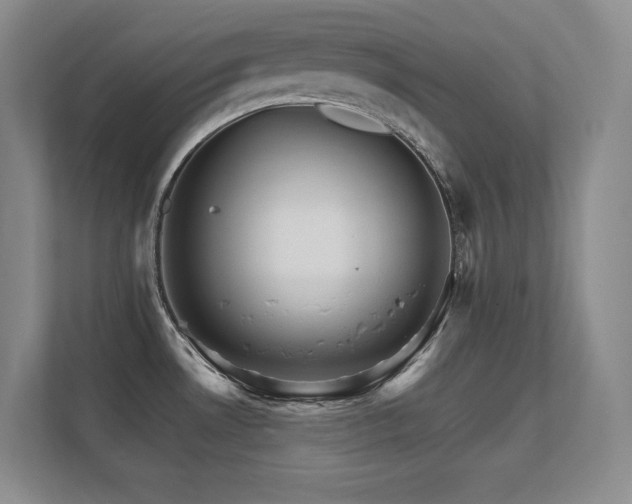 X0000112431530200908141421