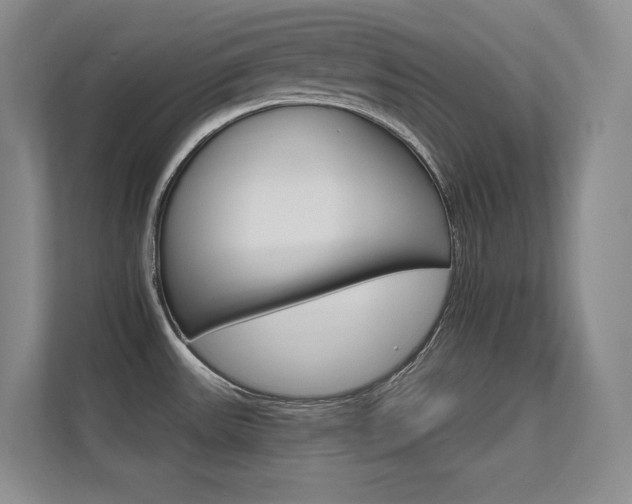 X0000112431531200908141421