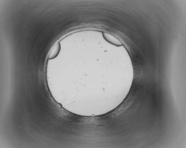 X0000112431532200908141421