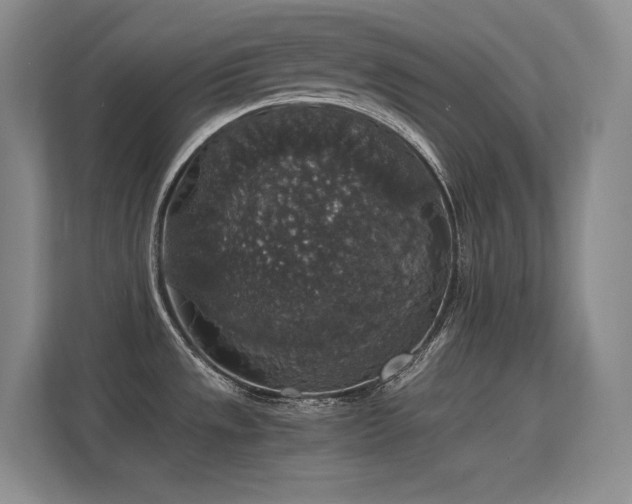 X0000112431533200908141421