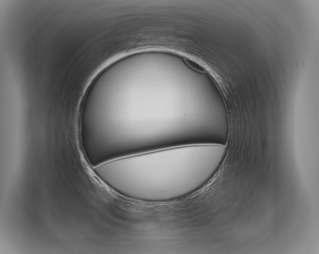 X0000112431534200908141421