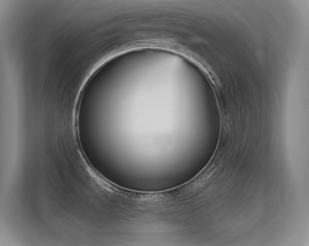 X0000112431535200908141421