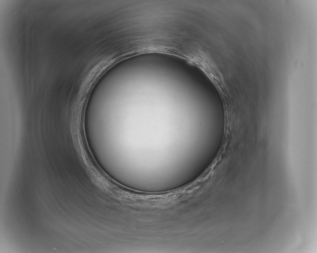 X0000112430001200908211210