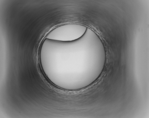 X0000112430002200908211210