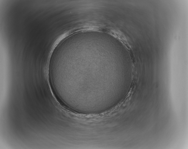 X0000112430003200908211210