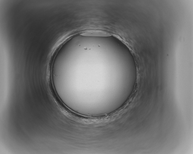 X0000112430005200908211210