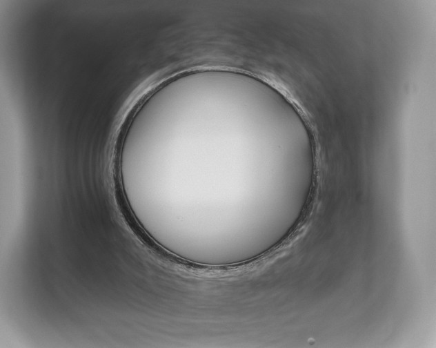 X0000112430007200908211210