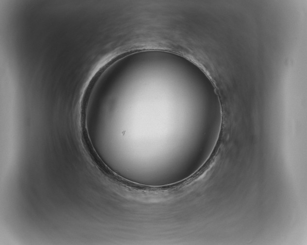 X0000112430008200908211210