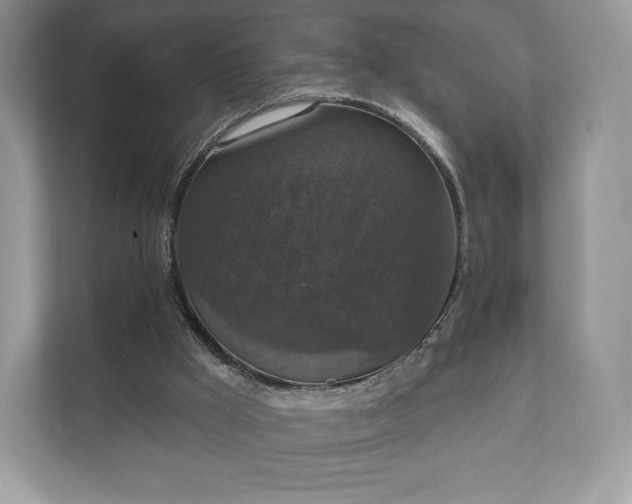X0000112430009200908211210