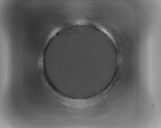 X0000112430010200908211210