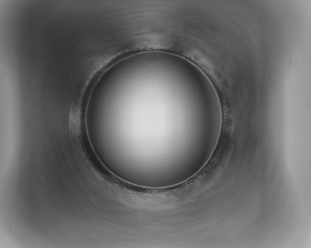 X0000112430012200908211210