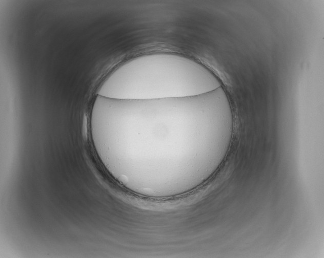 X0000112430014200908211210