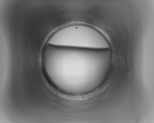 X0000112430015200908211210