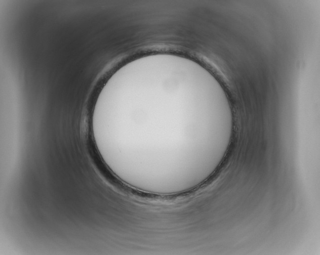 X0000112430016200908211210