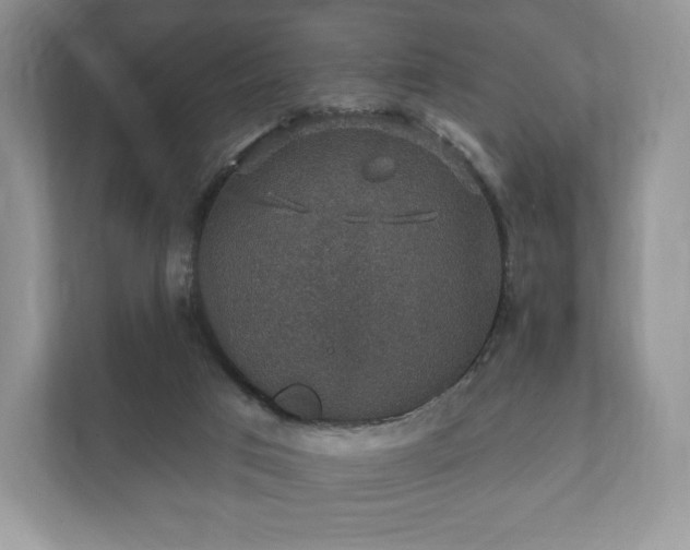 X0000112430017200908211210