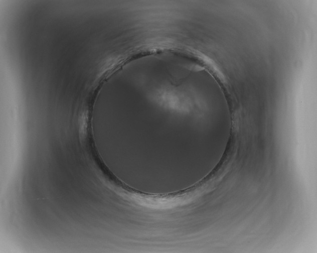 X0000112430018200908211210