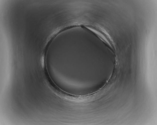 X0000112430019200908211210