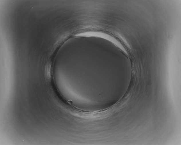 X0000112430023200908211210