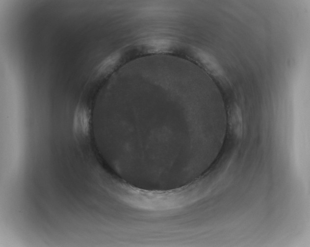 X0000112430026200908211210
