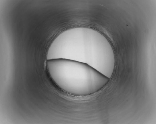 X0000112430027200908211210
