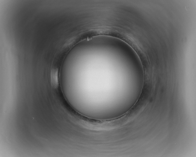 X0000112430028200908211210