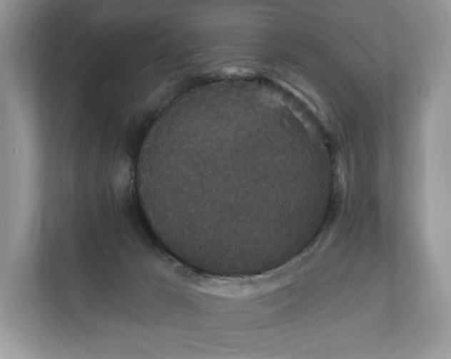 X0000112430029200908211210