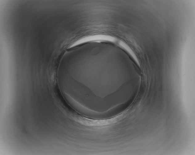 X0000112430031200908211210