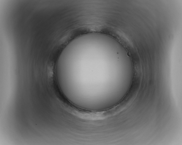 X0000112430032200908211210