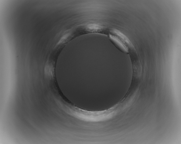 X0000112430035200908211209