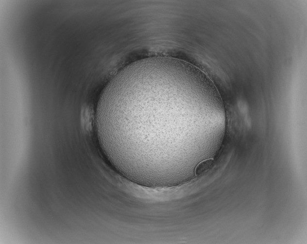 X0000112430038200908211209