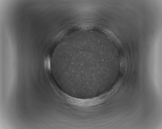 X0000112430046200908211209