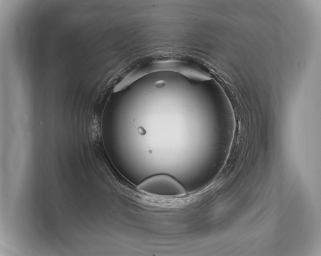 X0000112430048200908211209