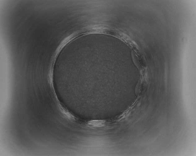 X0000112430051200908211209