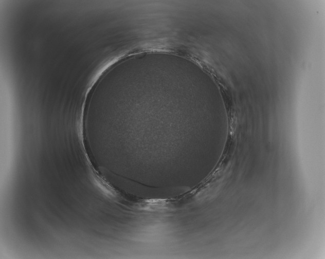 X0000112430052200908211209