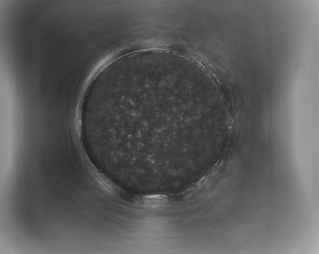 X0000112430053200908211209
