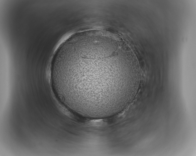 X0000112430054200908211209