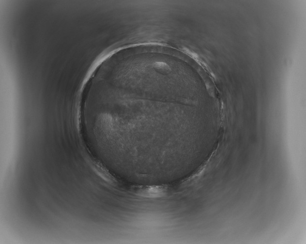 X0000112430056200908211209