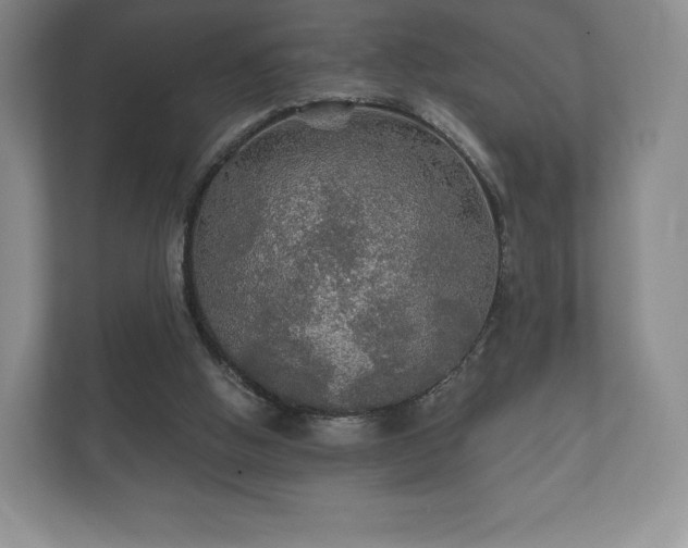 X0000112430058200908211209