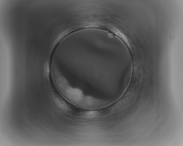 X0000112430059200908211209